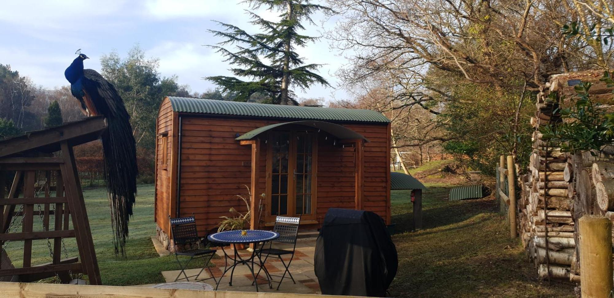 Вилла Sika Hut Вэрхэм Экстерьер фото